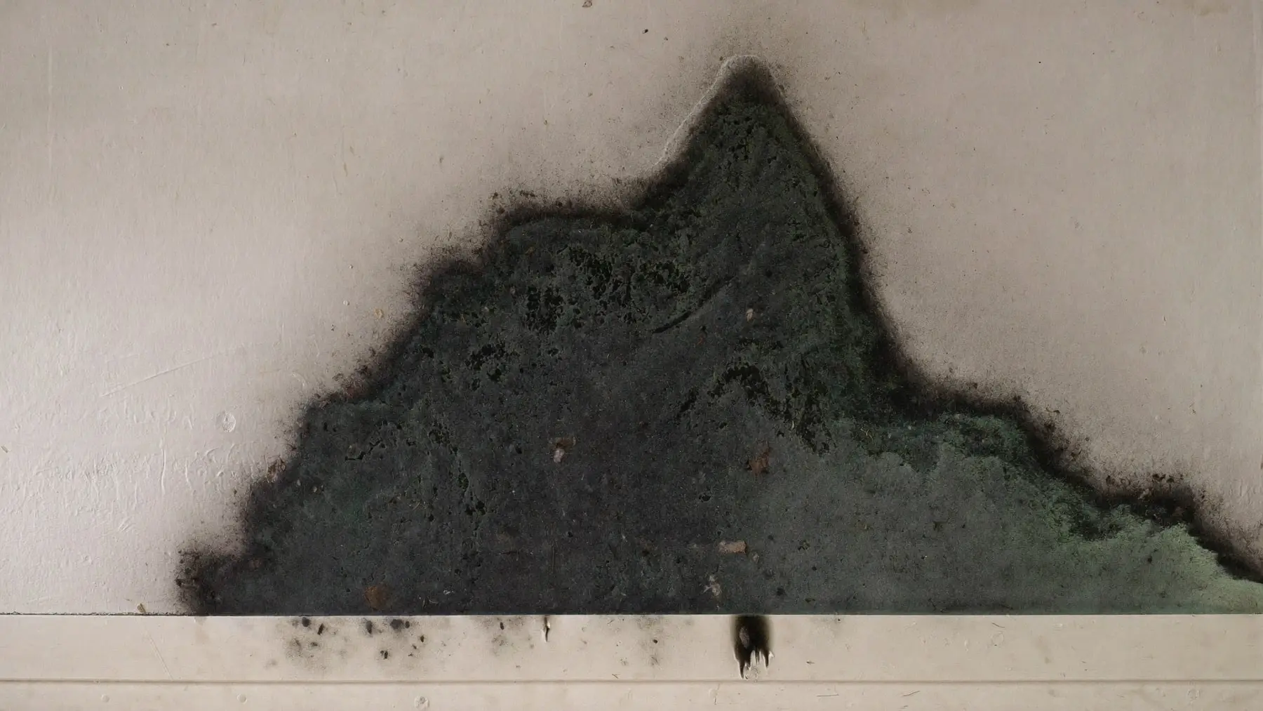 Dark mold growth spreading across drywall near a baseboard