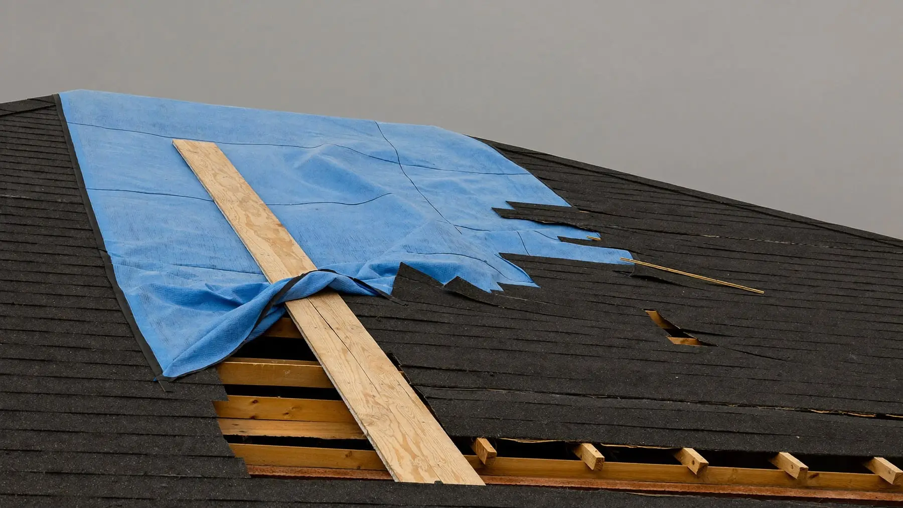 A blue emergency tarp fastened over storm-damaged roof shingles